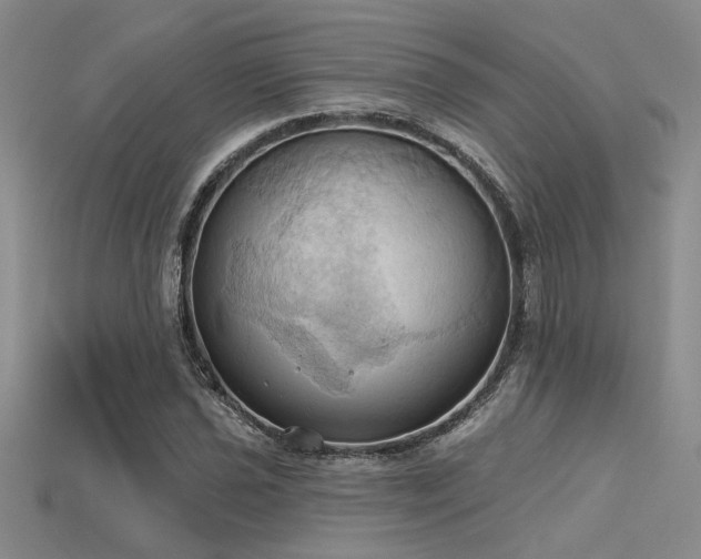 X0000115791021200911131304