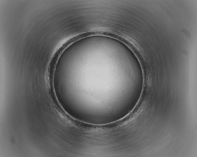 X0000115791022200911131304