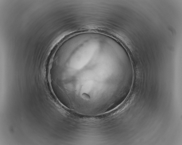 X0000115791023200911131304