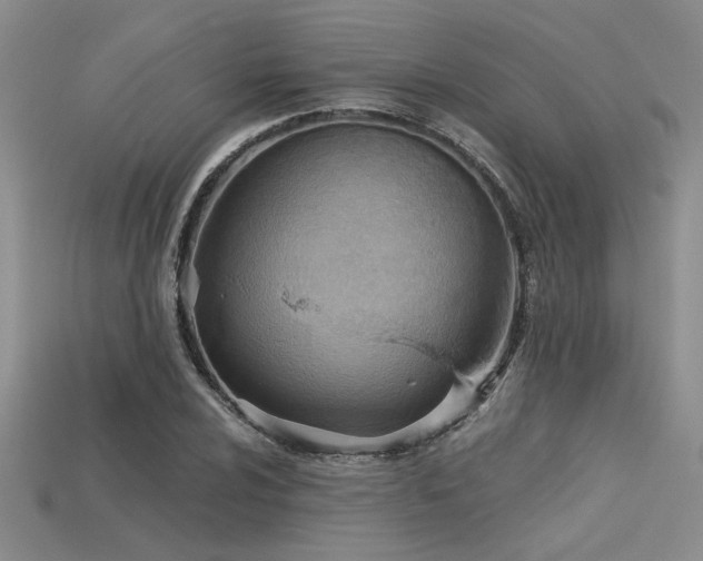 X0000115791024200911131304