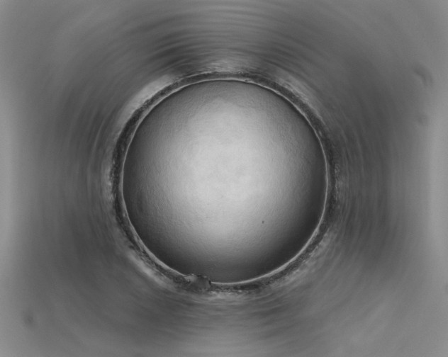 X0000115791026200911131304