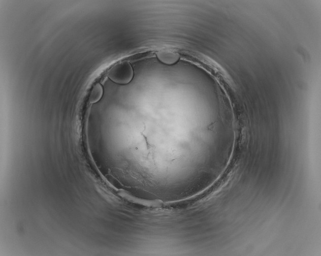 X0000115791027200911131304