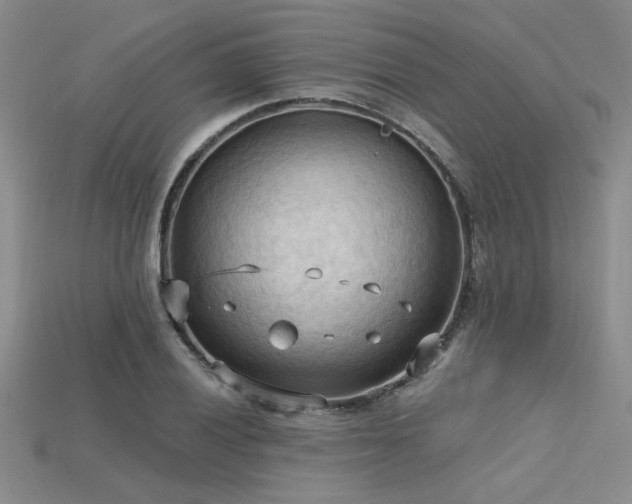 X0000115791028200911131304