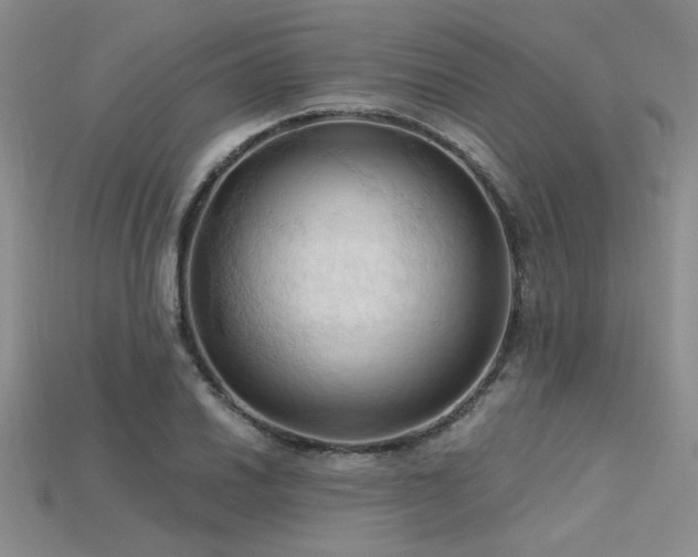 X0000115791030200911131304