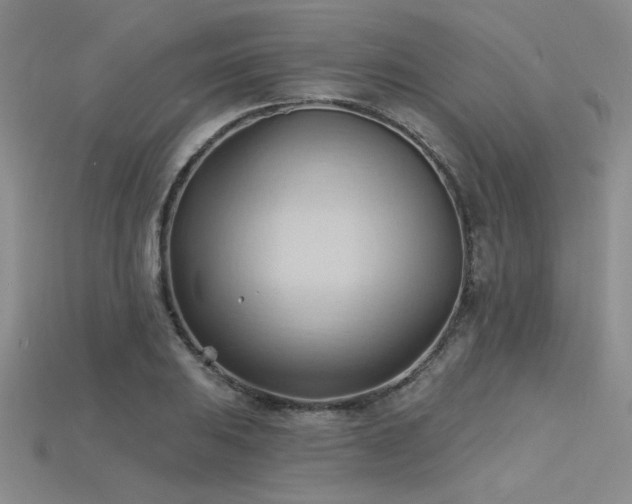 X0000115791031200911131304