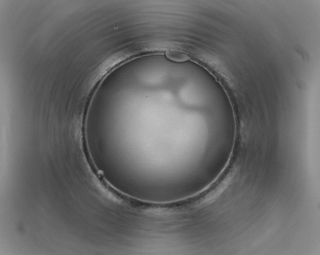 X0000115791033200911131304