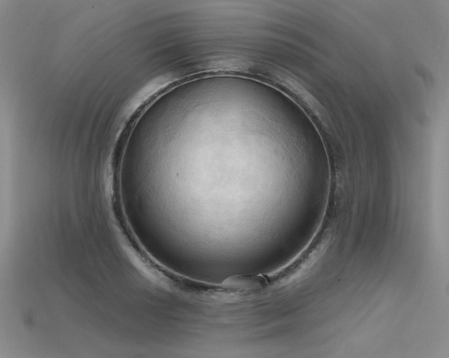 X0000115791034200911131304