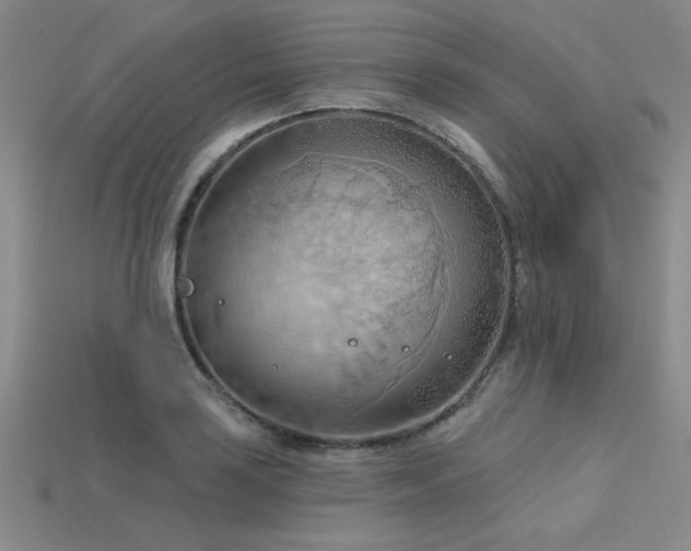 X0000115791035200911131304