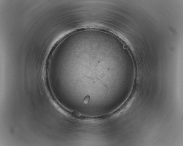 X0000115791037200911131304