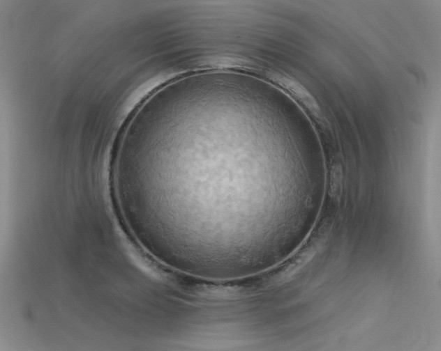 X0000115791039200911131304