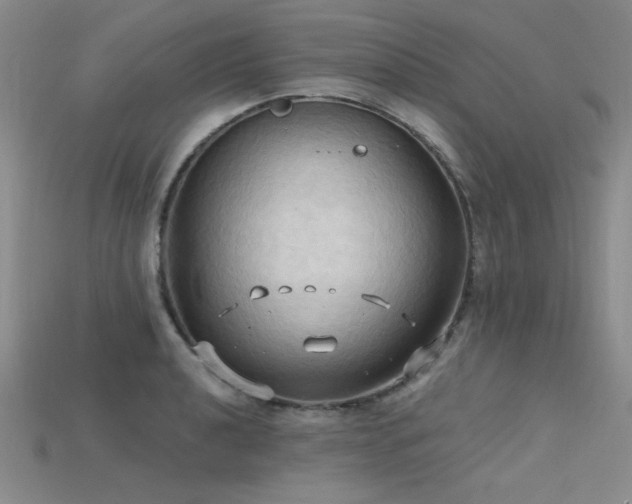 X0000115791040200911131304