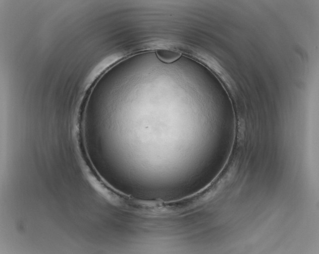 X0000115791042200911131304