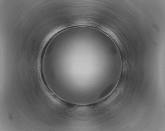 X0000115791043200911131304