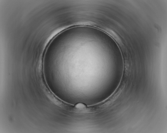 X0000115791044200911131304