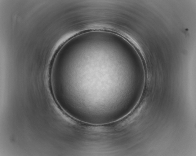 X0000115791045200911131304