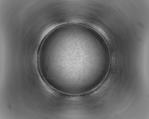 X0000115791047200911131304