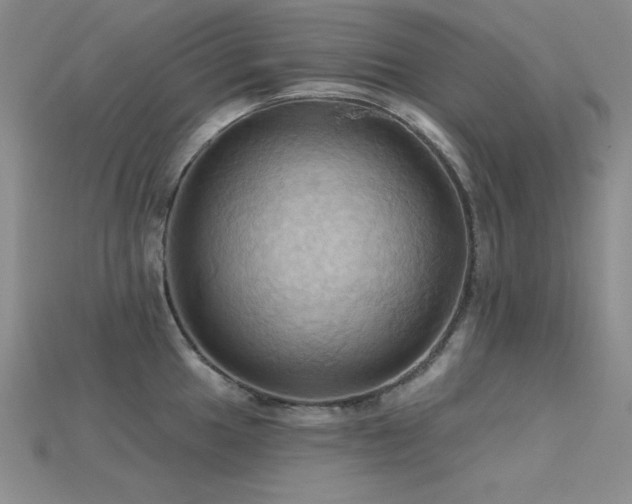 X0000115791049200911131304