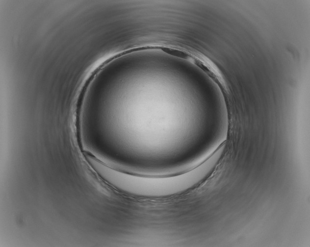 X0000115791051200911131304