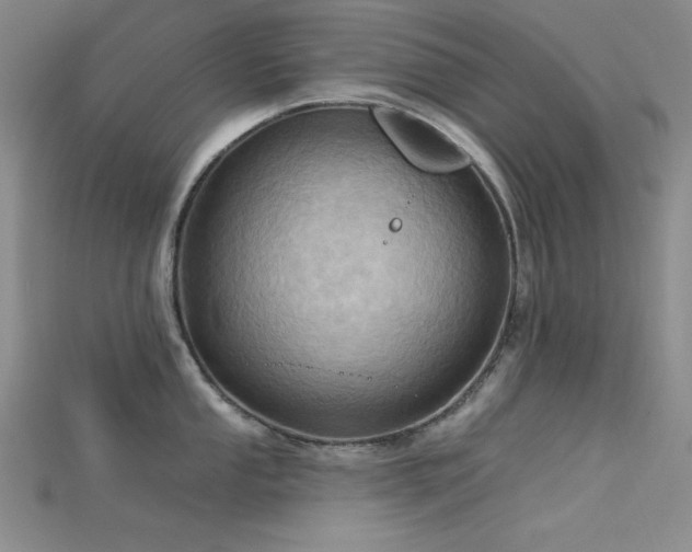 X0000115791053200911131304