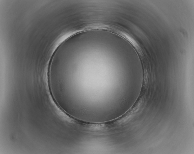 X0000115791055200911131304