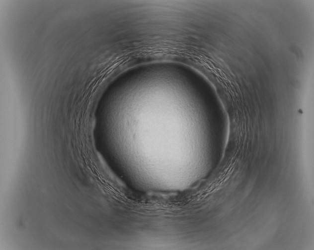 X0000115791057200911131303