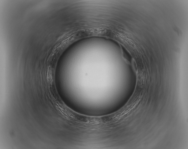 X0000115791058200911131303