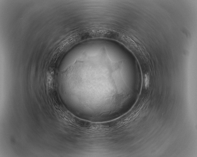 X0000115791059200911131303