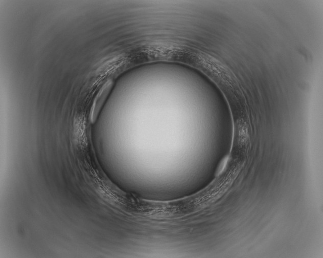 X0000115791060200911131303