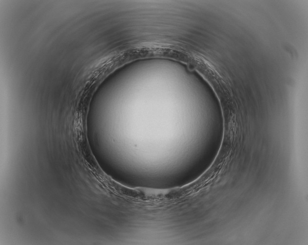 X0000115791062200911131303