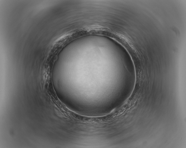 X0000115791063200911131303
