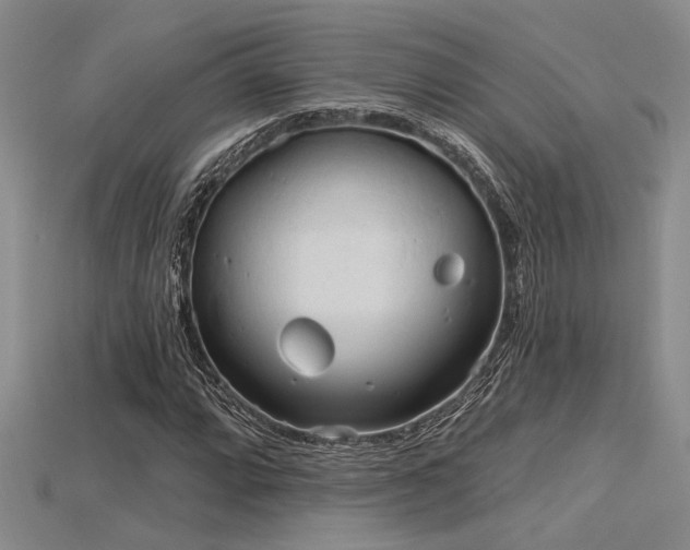 X0000115791064200911131303