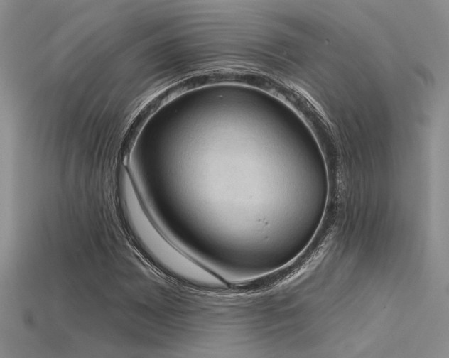 X0000115791065200911131303