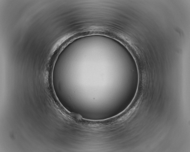 X0000115791066200911131303