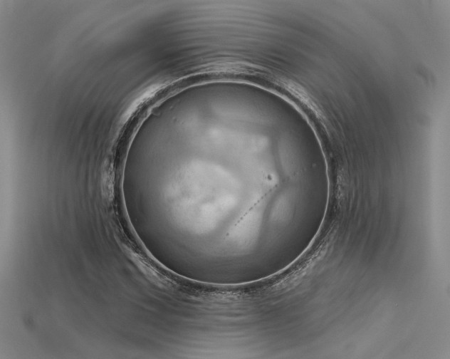 X0000115791067200911131303