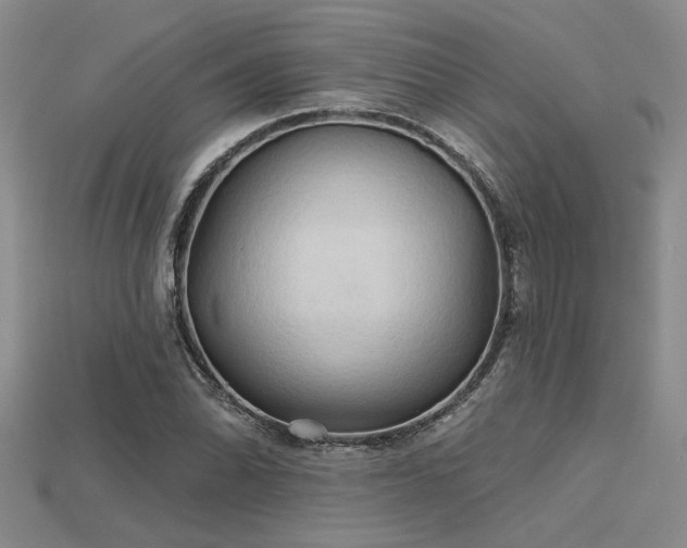 X0000115791070200911131303