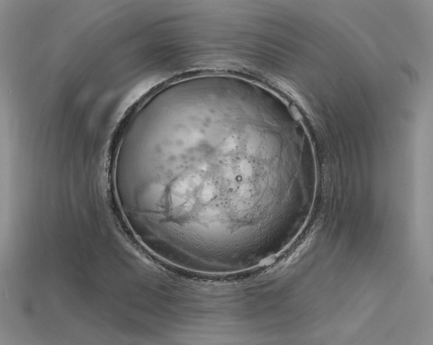 X0000115791071200911131303