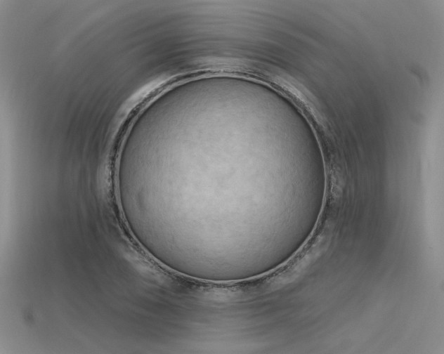 X0000115791074200911131303