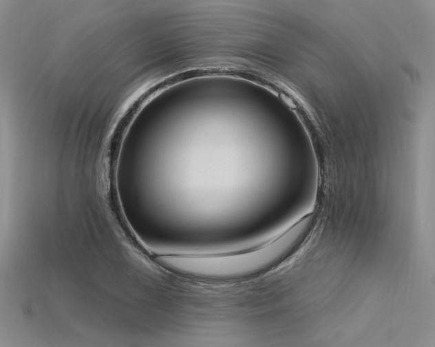 X0000115791075200911131303