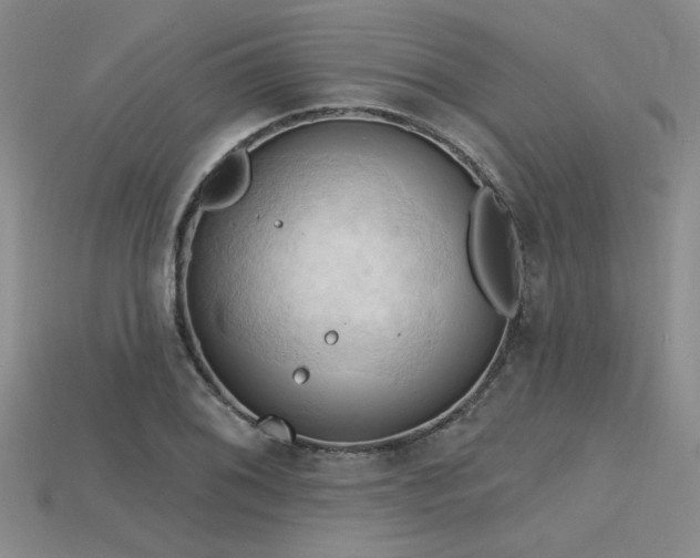 X0000115791076200911131303