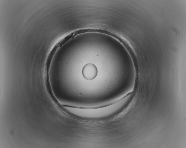 X0000115791077200911131303