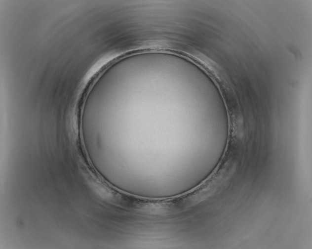 X0000115791078200911131303