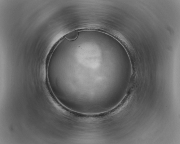 X0000115791079200911131303