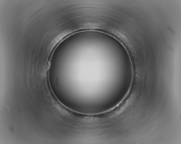 X0000115791081200911131303