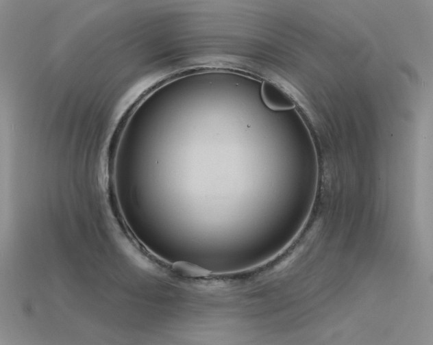 X0000115791082200911131303