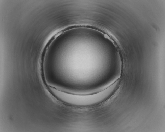 X0000115791085200911131303