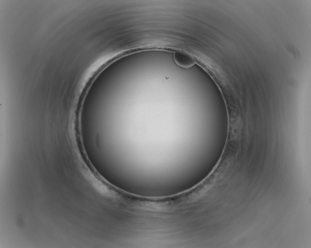 X0000115791086200911131303
