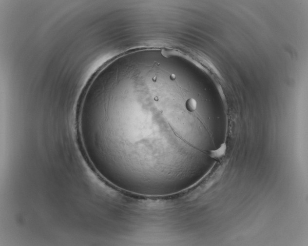 X0000115791087200911131303