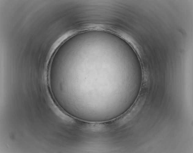 X0000115791090200911131303