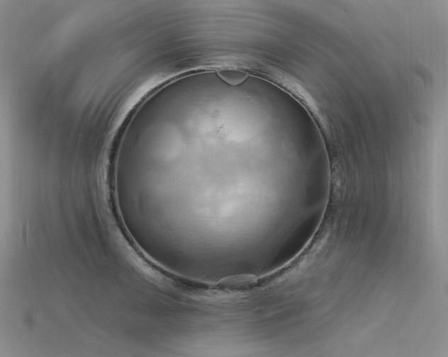 X0000115791091200911131303