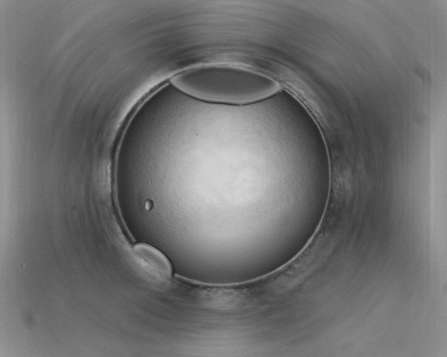 X0000115791092200911131303